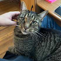 Thumbnail photo of Zack #1