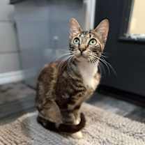 Thumbnail photo of Raider #3