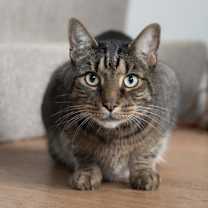 Thumbnail photo of Zack #3