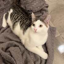 Thumbnail photo of Mickey #1