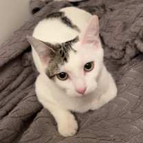 Thumbnail photo of Minnie #1