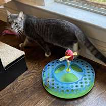 Thumbnail photo of Weaver #4