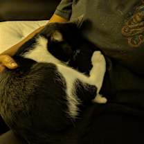 Thumbnail photo of Ravi #3