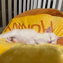 Thumbnail photo of Olga #4