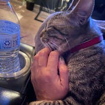 Thumbnail photo of Smokey #3