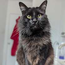 Thumbnail photo of Lafitte #4