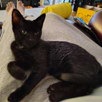 Thumbnail photo of Dusk #4