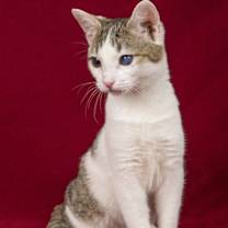 Thumbnail photo of Embry #3