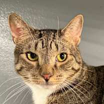 Thumbnail photo of Olivia #2