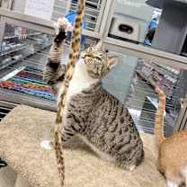 Thumbnail photo of Olivia #4