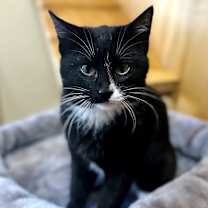 Thumbnail photo of Falls #3