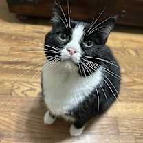 Thumbnail photo of Charlotte #1