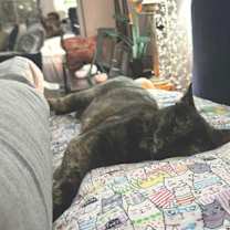 Thumbnail photo of Samoa #3