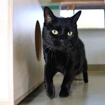 Thumbnail photo of Uhera #1