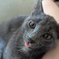 Thumbnail photo of Chance & Chole #4