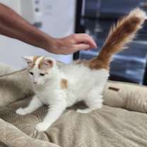 Thumbnail photo of Vinny #3