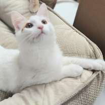 Thumbnail photo of Vinny #4