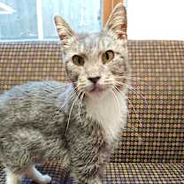 Thumbnail photo of Kat #1