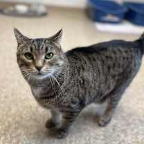 Thumbnail photo of Marley #2