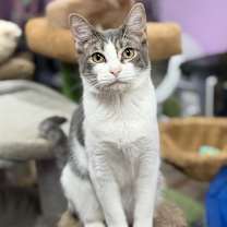 Thumbnail photo of McDreamy #1