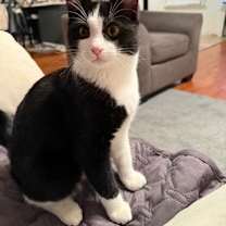 Thumbnail photo of Rudy #1