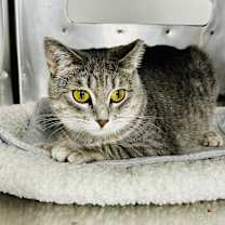 Thumbnail photo of Cece #1