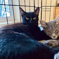 Thumbnail photo of Thelma & Louise #4