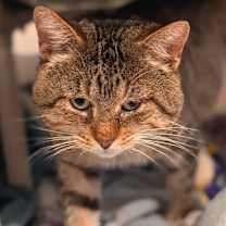 Thumbnail photo of Jason  #1