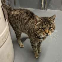 Thumbnail photo of Jason  #2