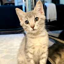 Thumbnail photo of Chuck #1