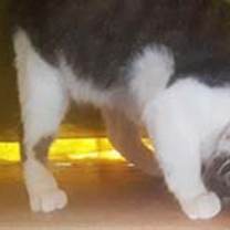 Thumbnail photo of Reba #3