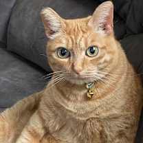 Thumbnail photo of Molly #2