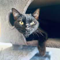 Thumbnail photo of Halle BlackBerry #3