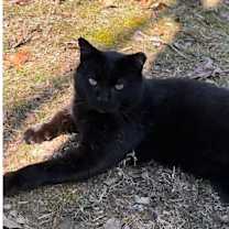 Thumbnail photo of Sebastian #1