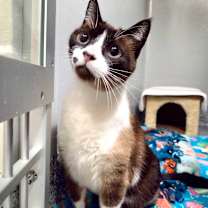 Thumbnail photo of Lucy #1