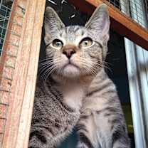 Thumbnail photo of John Lennon #1