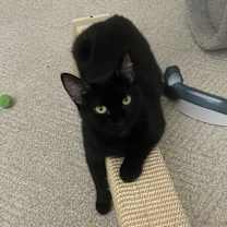 Thumbnail photo of Maggie Mae #4