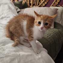 Thumbnail photo of Daisy #1