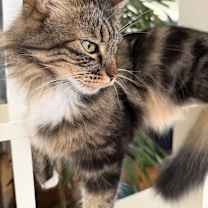 Thumbnail photo of Eleanor #1