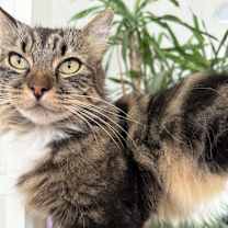 Thumbnail photo of Eleanor #2