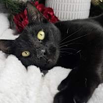 Thumbnail photo of Maya #1