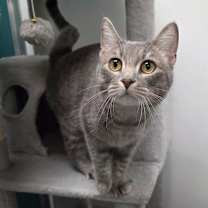 Thumbnail photo of Derpy #2