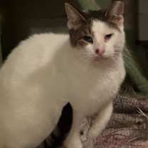 Thumbnail photo of Pappy Dill #3