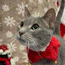 Thumbnail photo of Valarr #1