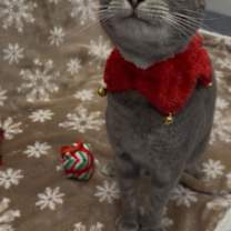 Thumbnail photo of Valarr #2