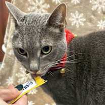 Thumbnail photo of Valarr #3