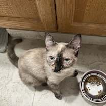 Thumbnail photo of Moka #4