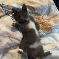 Thumbnail photo of Bob #2