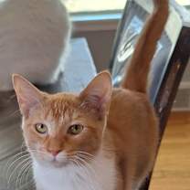 Thumbnail photo of Pond #1