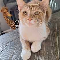 Thumbnail photo of Pond #3